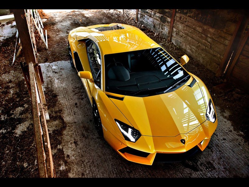 Lamborghini Avendator Sarı wallpaper